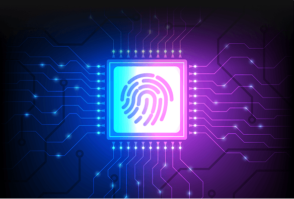 Secure Every Touch and Hand Gesture